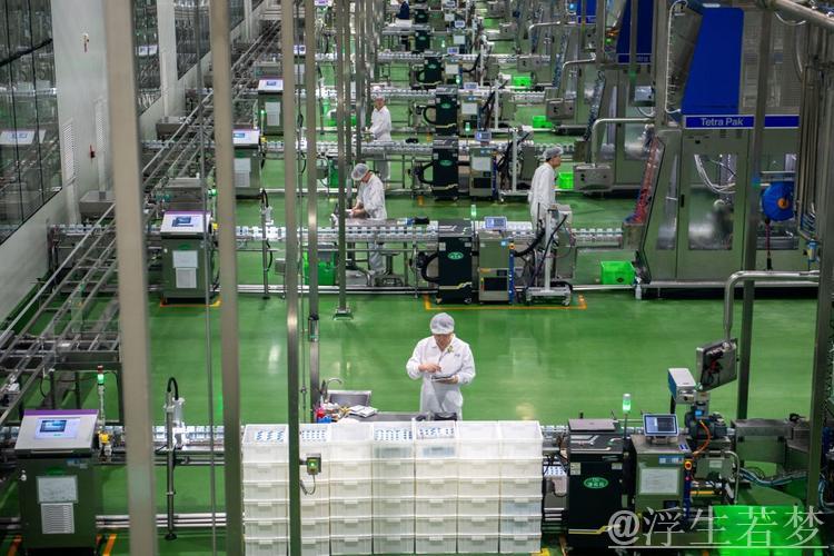 “实招”“硬招”护航民营经济破浪前行